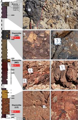 3D macro- and microfabric analyses of Neoproterozoic diamictites from the Valjean Hills, California (United States)